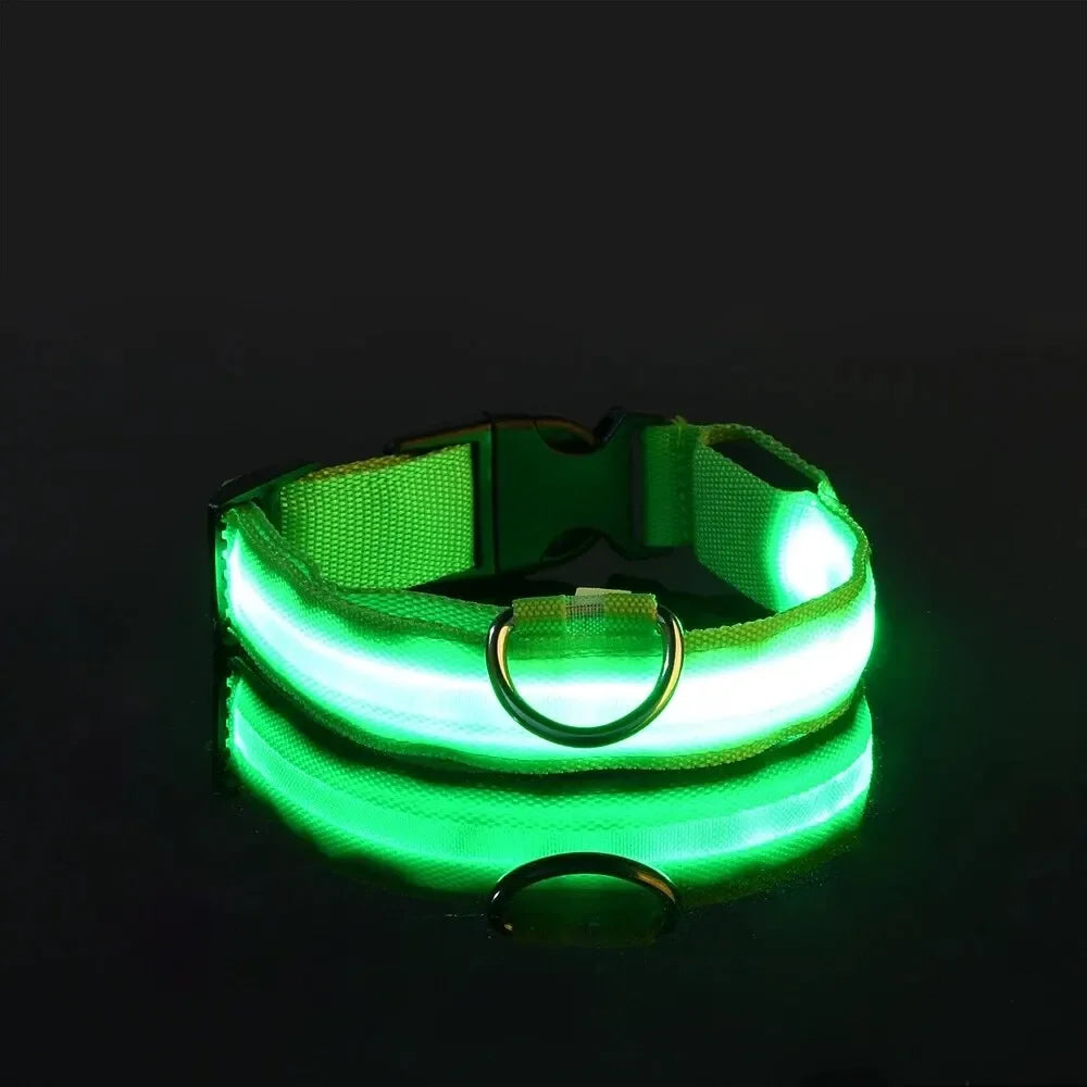 Adjustable Luminous Dog Collar – Glow-in-the-Dark Night Safety