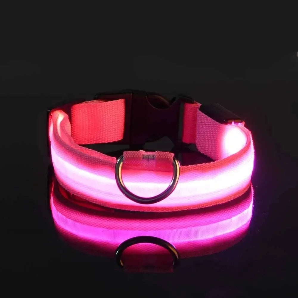 Adjustable Luminous Dog Collar – Glow-in-the-Dark Night Safety
