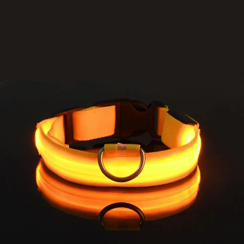 Adjustable Luminous Dog Collar – Glow-in-the-Dark Night Safety