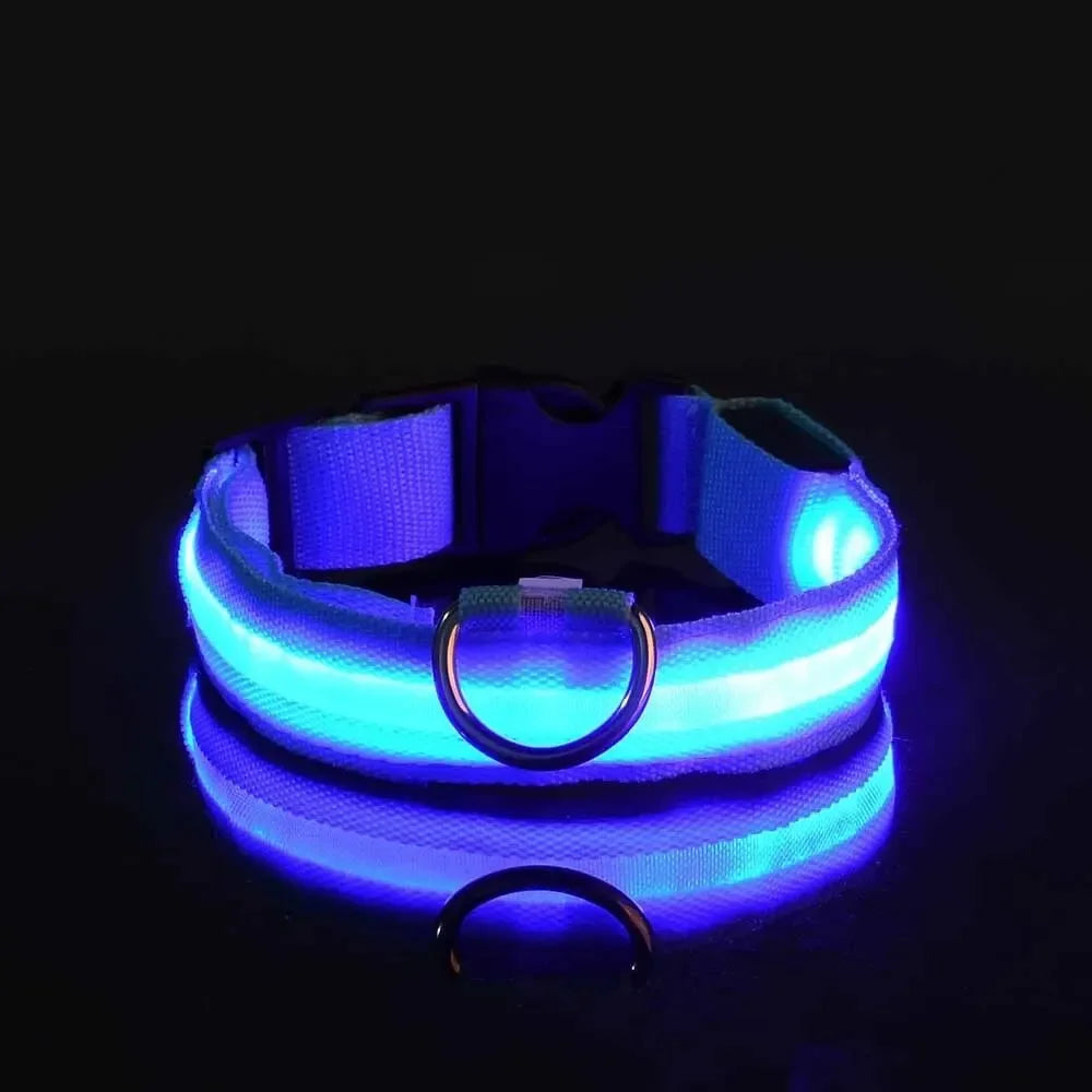 Adjustable Luminous Dog Collar – Glow-in-the-Dark Night Safety