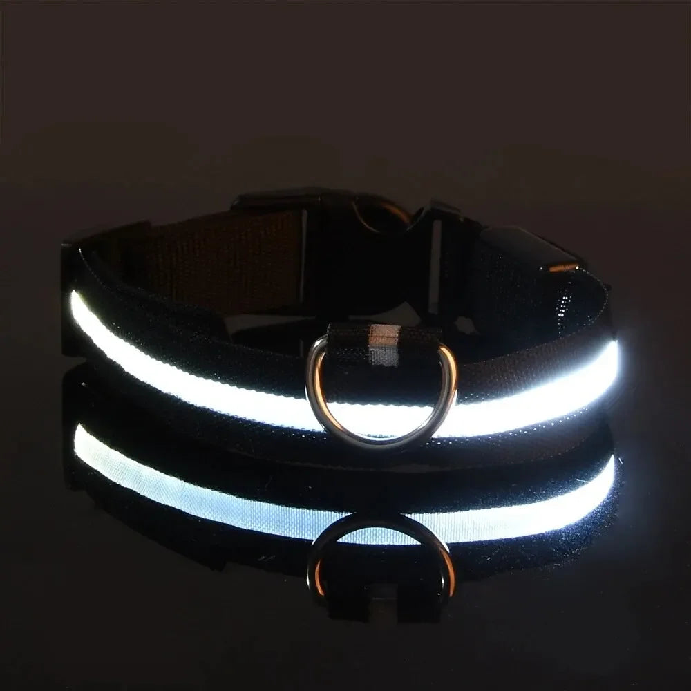 Adjustable Luminous Dog Collar – Glow-in-the-Dark Night Safety