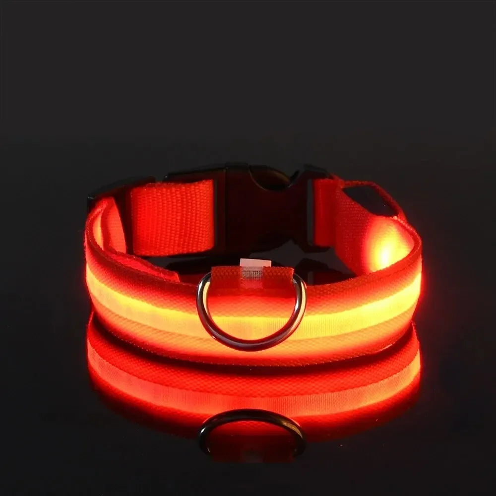 Adjustable Luminous Dog Collar – Glow-in-the-Dark Night Safety