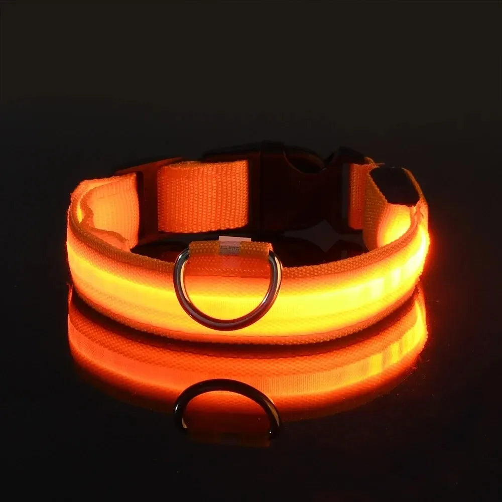 Adjustable Luminous Dog Collar – Glow-in-the-Dark Night Safety